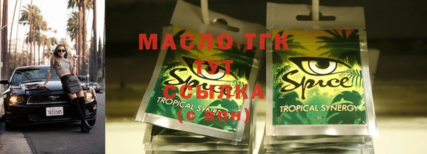 тгк Абаза