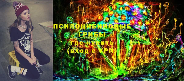 apvp Алексин