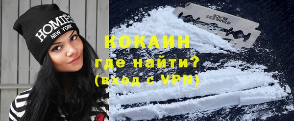 ГАЛЛЮЦИНОГЕННЫЕ ГРИБЫ Рославль
