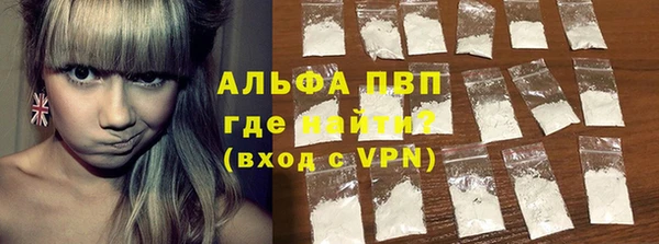тгк Ростов